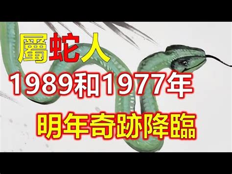 1989 屬蛇|生肖蛇: 性格，愛情，2024運勢，生肖1989，2001，2013